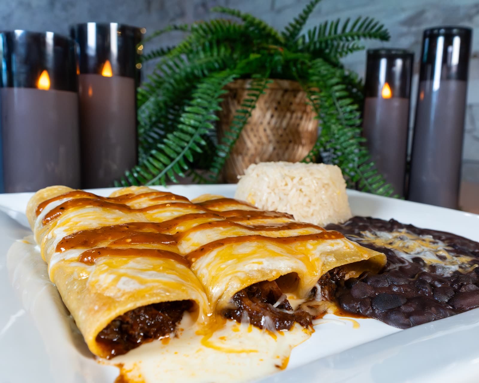 Birria Enchiladas